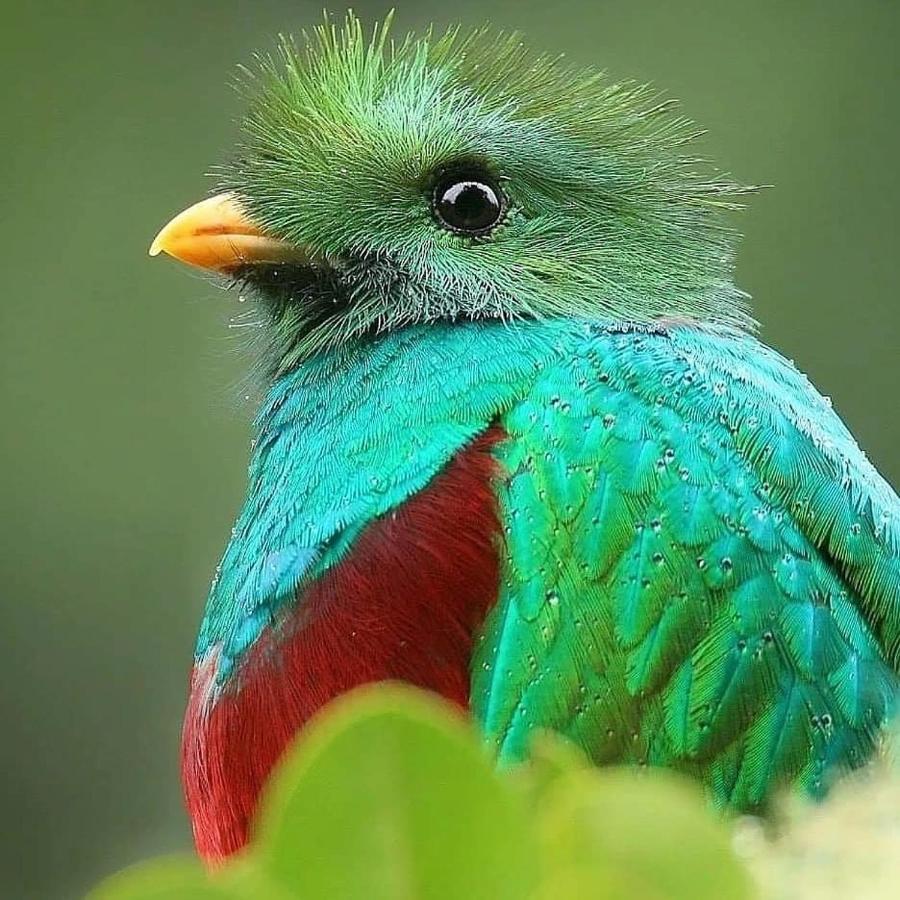 Cabinas El Quetzal 圣赫拉多德多塔 外观 照片